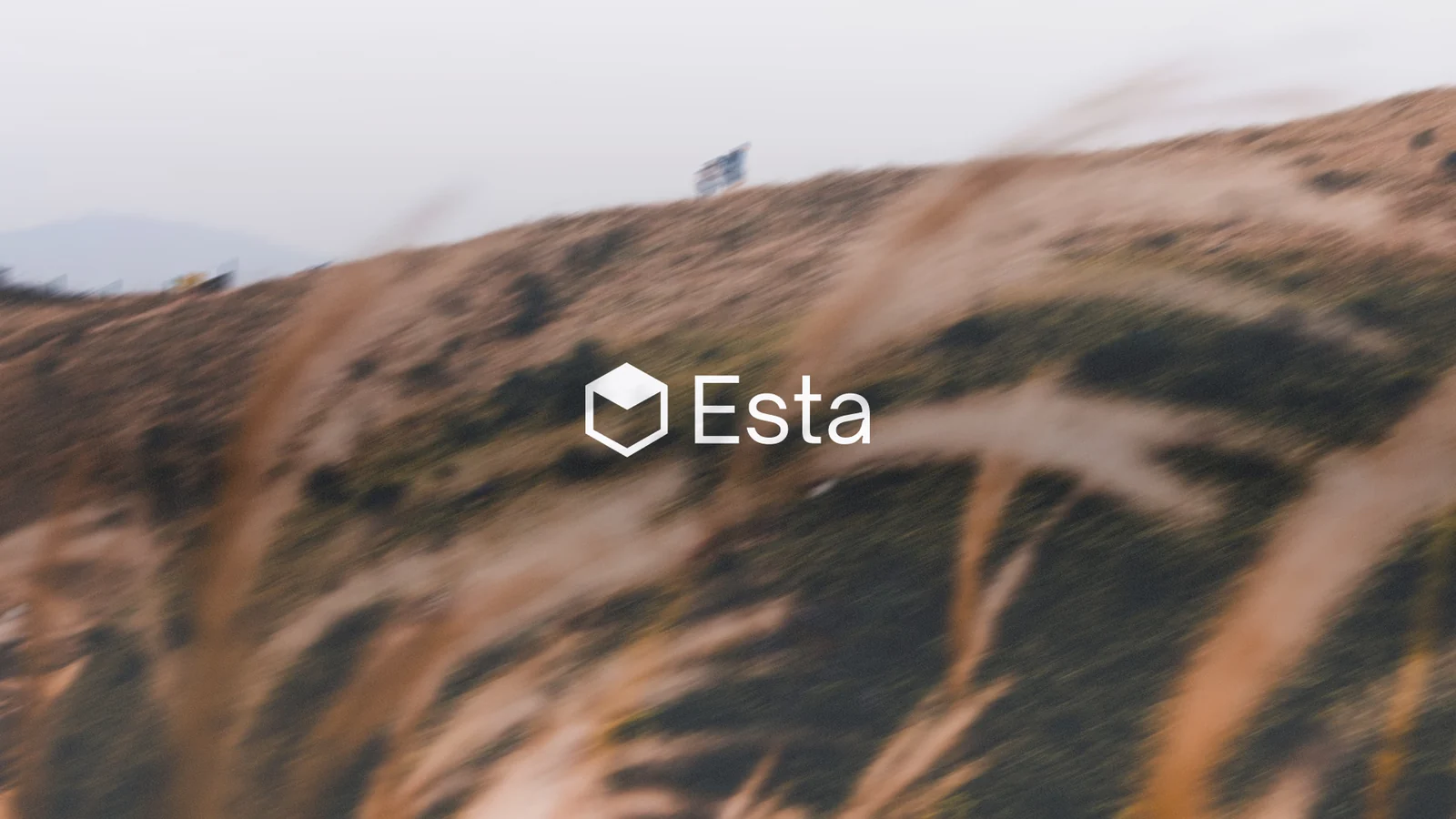 Esta — CoverLockup