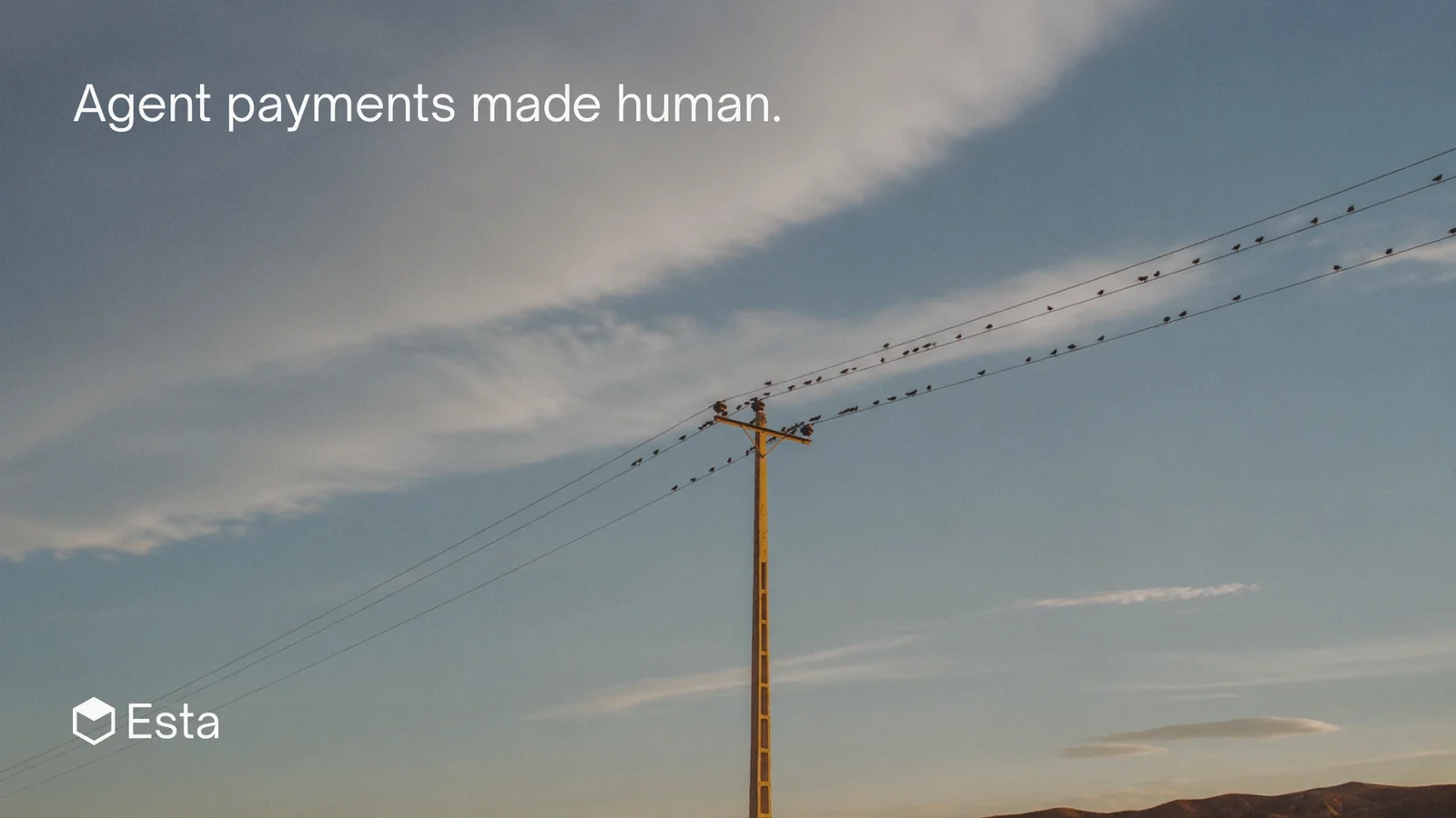 Esta — Marketing Screen