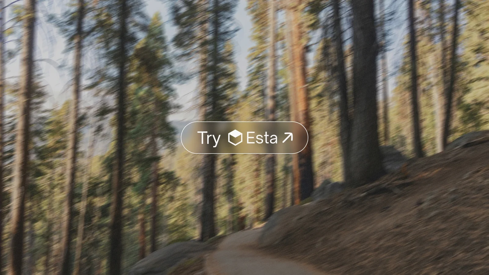 Esta — Stylized CTA