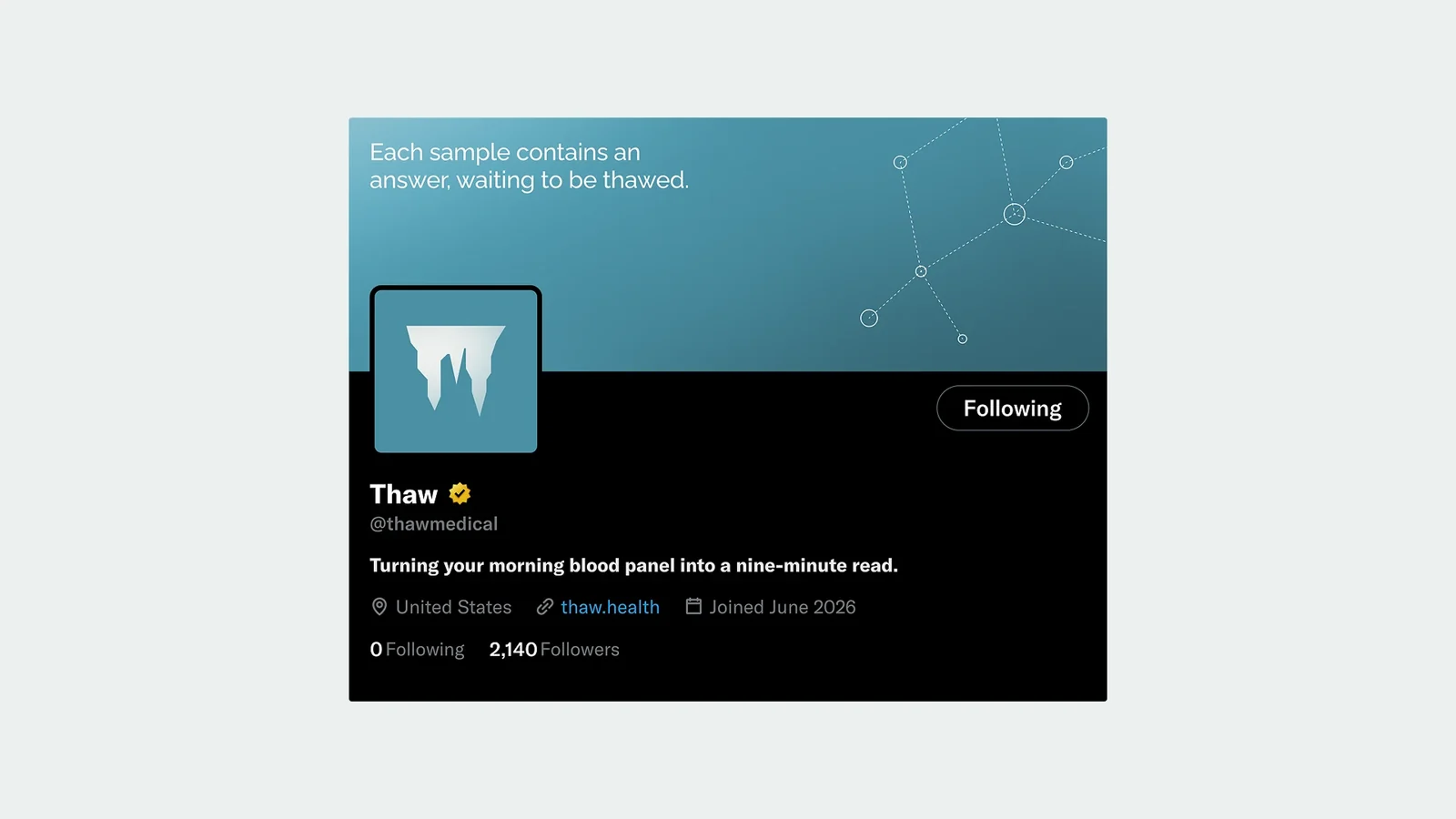 Thaw — X Profile Mockup