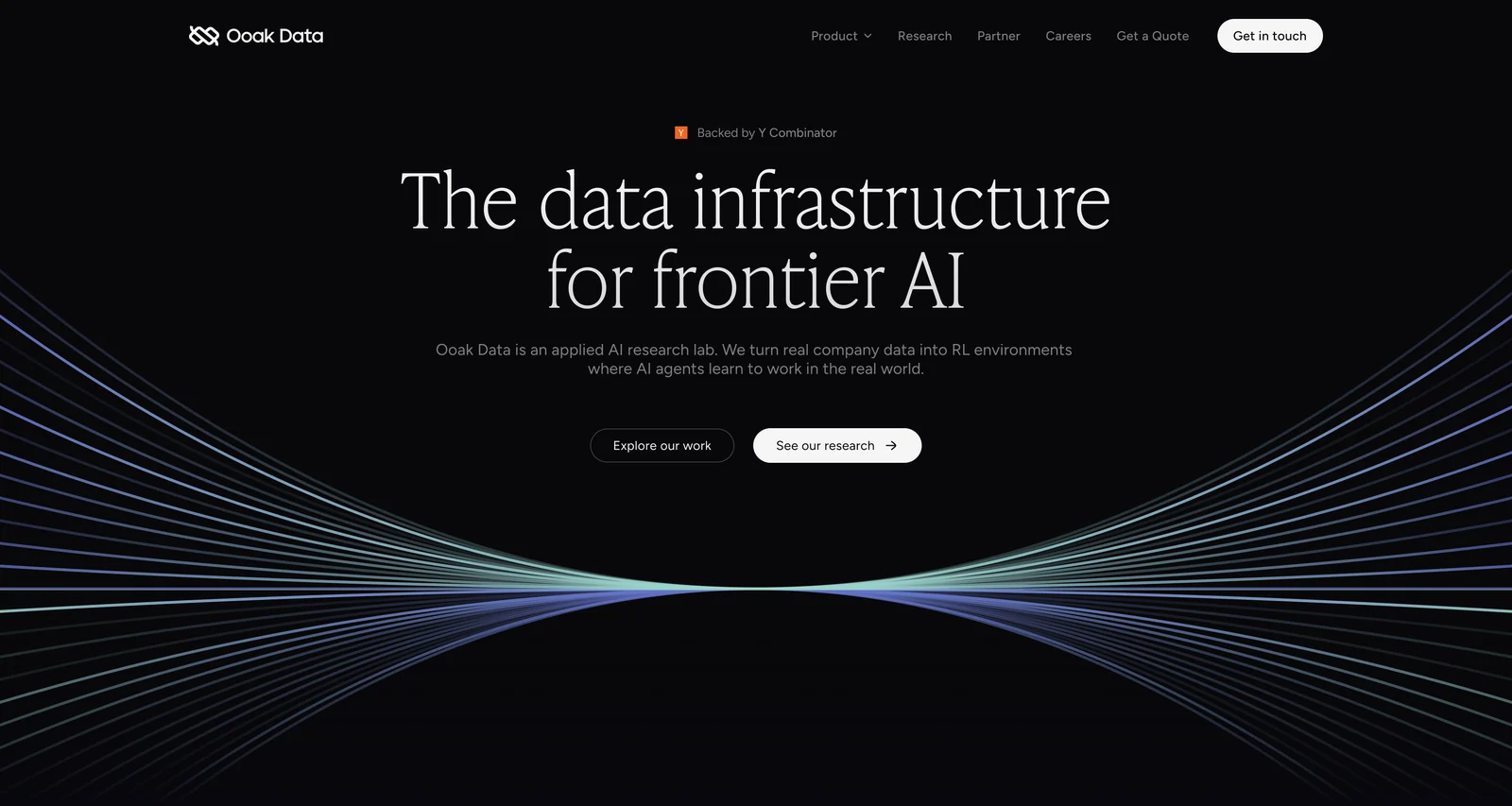 Ooak Data homepage hero concept